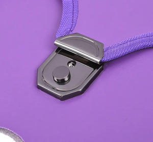 York Rite Apron Case - Purple Leather Different Sizes MM, WM, Provincial