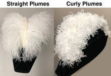 Load image into Gallery viewer, Sir Knight Knights Templar Commandery Chapeau- All White Plumes | Regalia Lodge